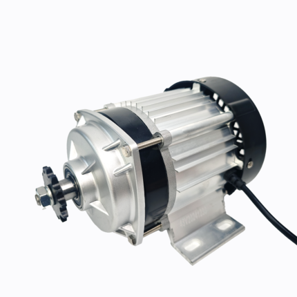 Pump Brushless Gear Motor 24/36/48V 350/500/750W 1