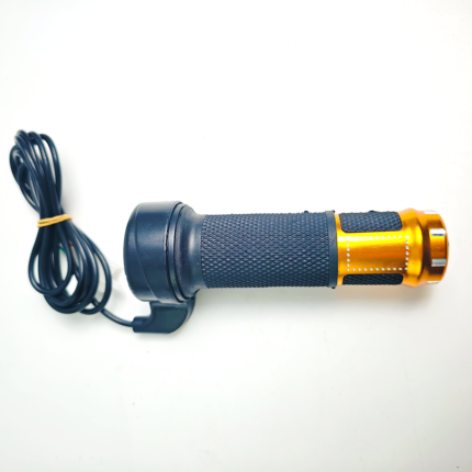 Electric Bicycle Golden throttle