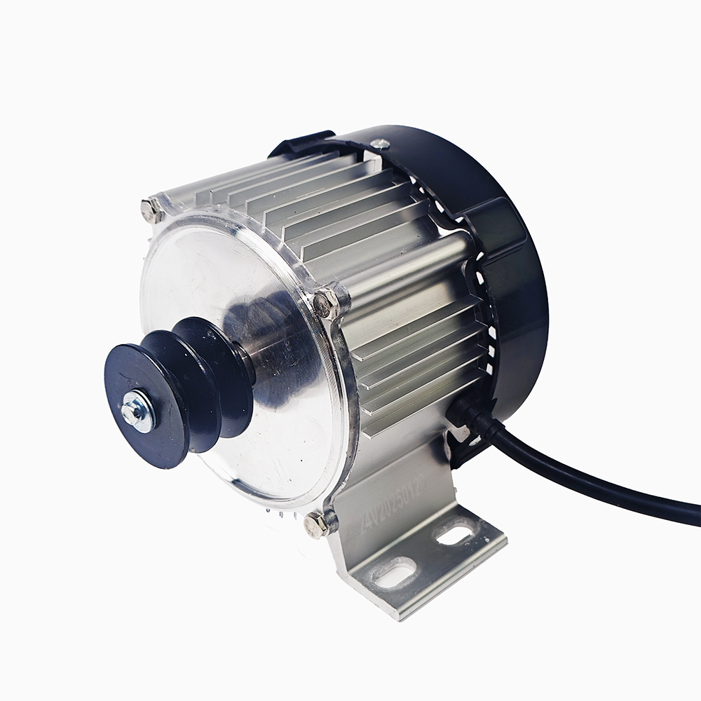 brushless high-speed motor for water pump/medicine dispenser 24V/48V/60V 500W